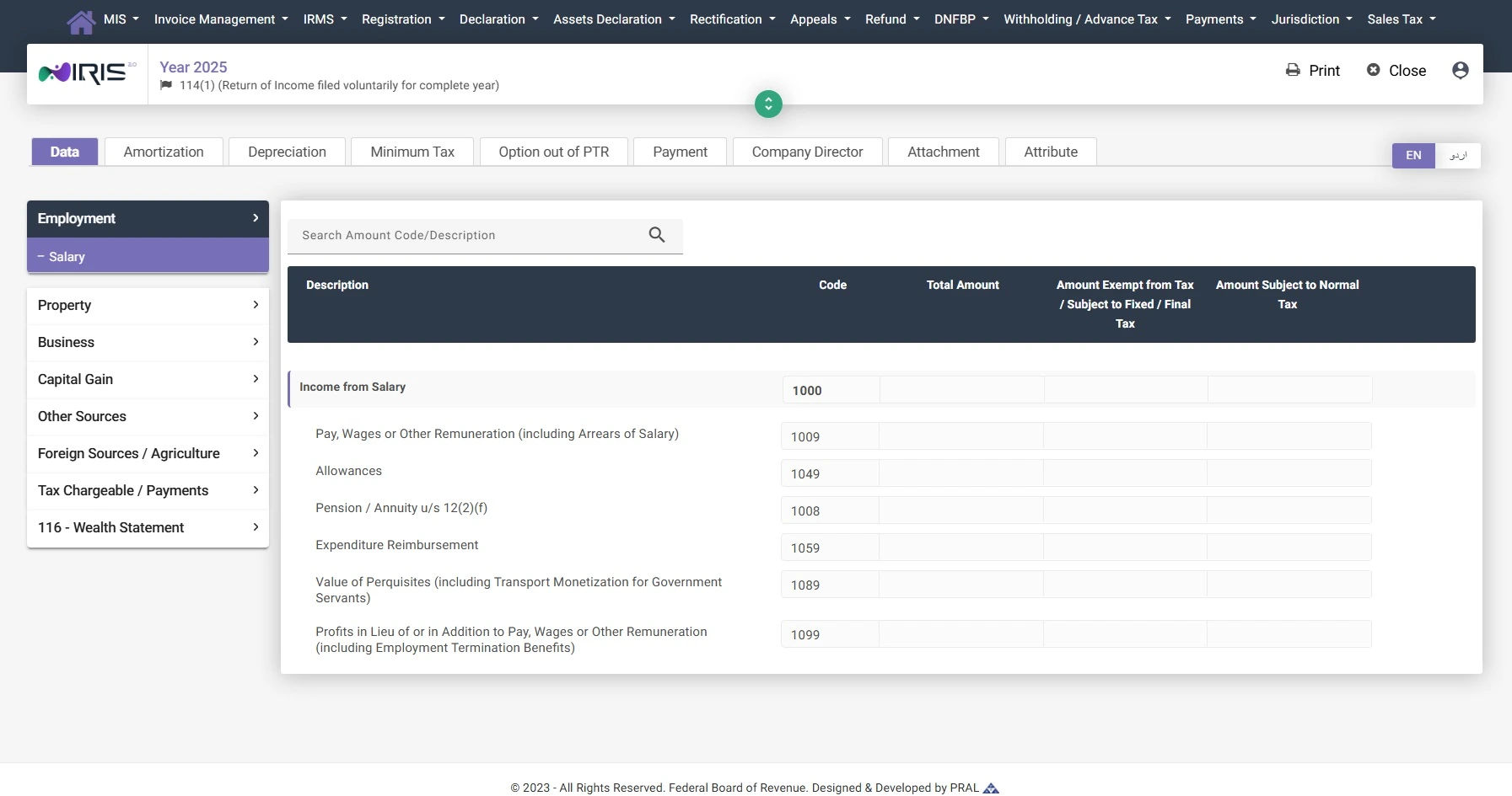 Salary income section inside FBR IRIS return form